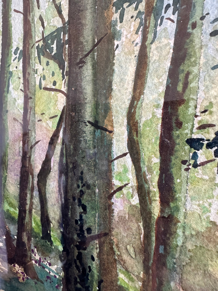 Aquarelle sous-bois signée année 1900