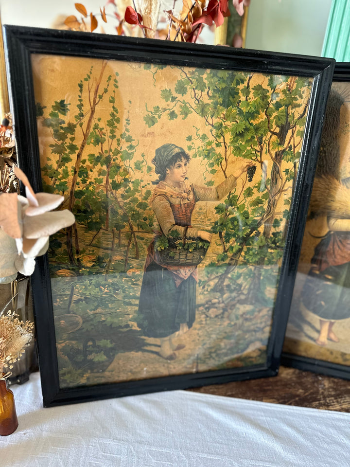 Chromolithographies des saisons encadrées époque Napoléon III