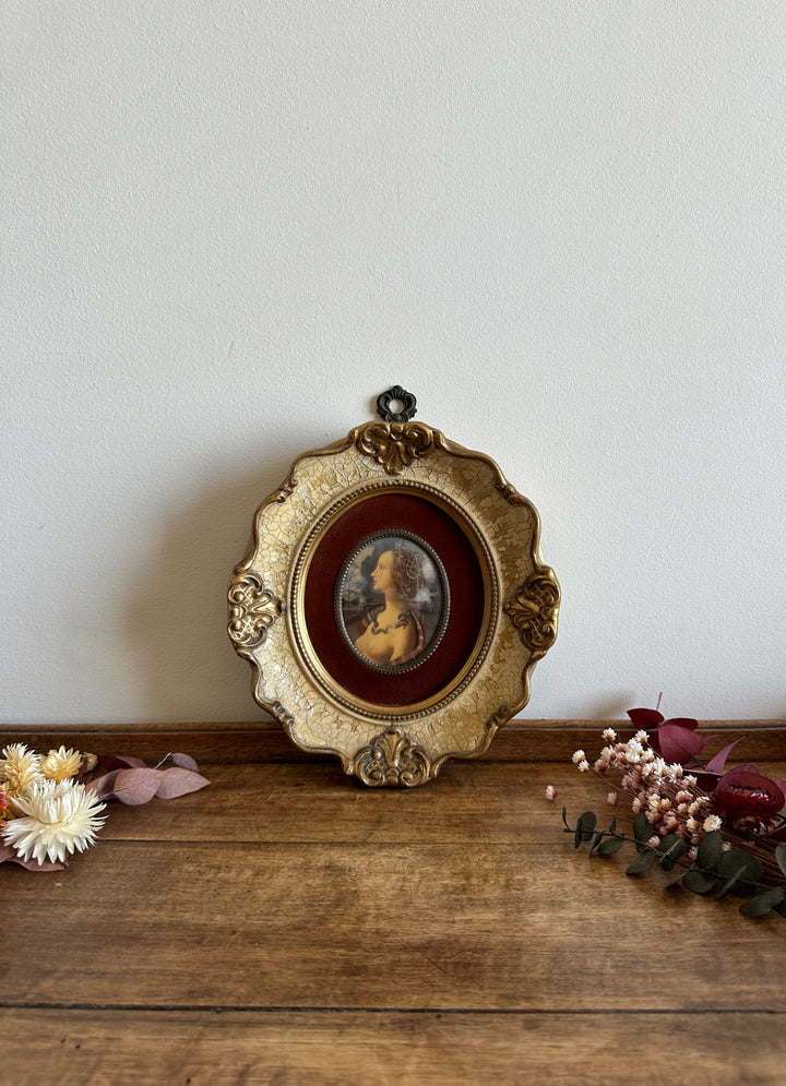 Médaillon sur velours marron glacé encadrement style baroque craquelé