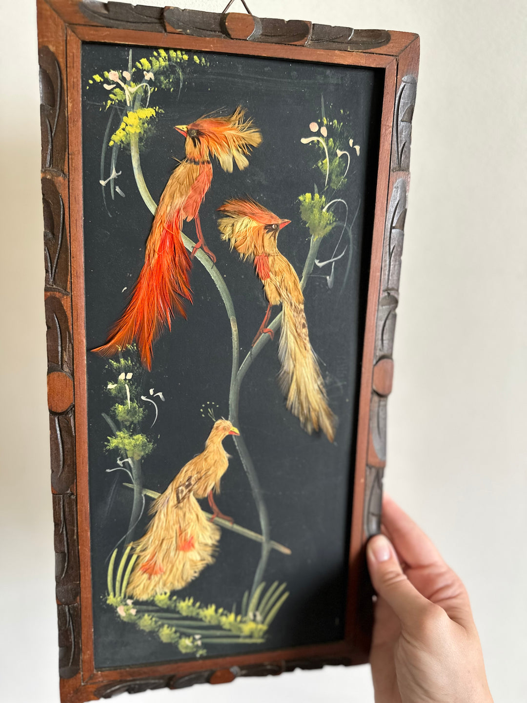 Composition botanique oiseaux et perruches en plume sur ardoise