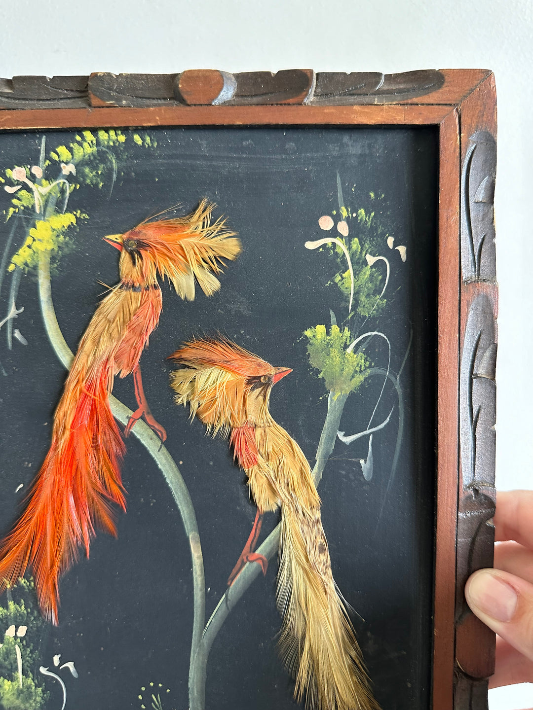 Composition botanique oiseaux et perruches en plume sur ardoise