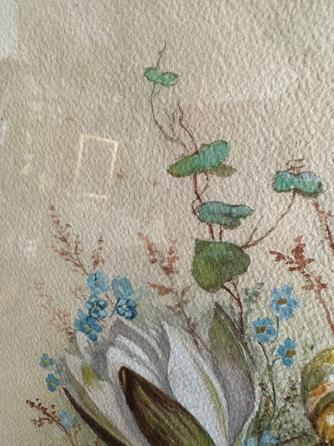 Aquarelle magnolia signée encadrée années 40-50