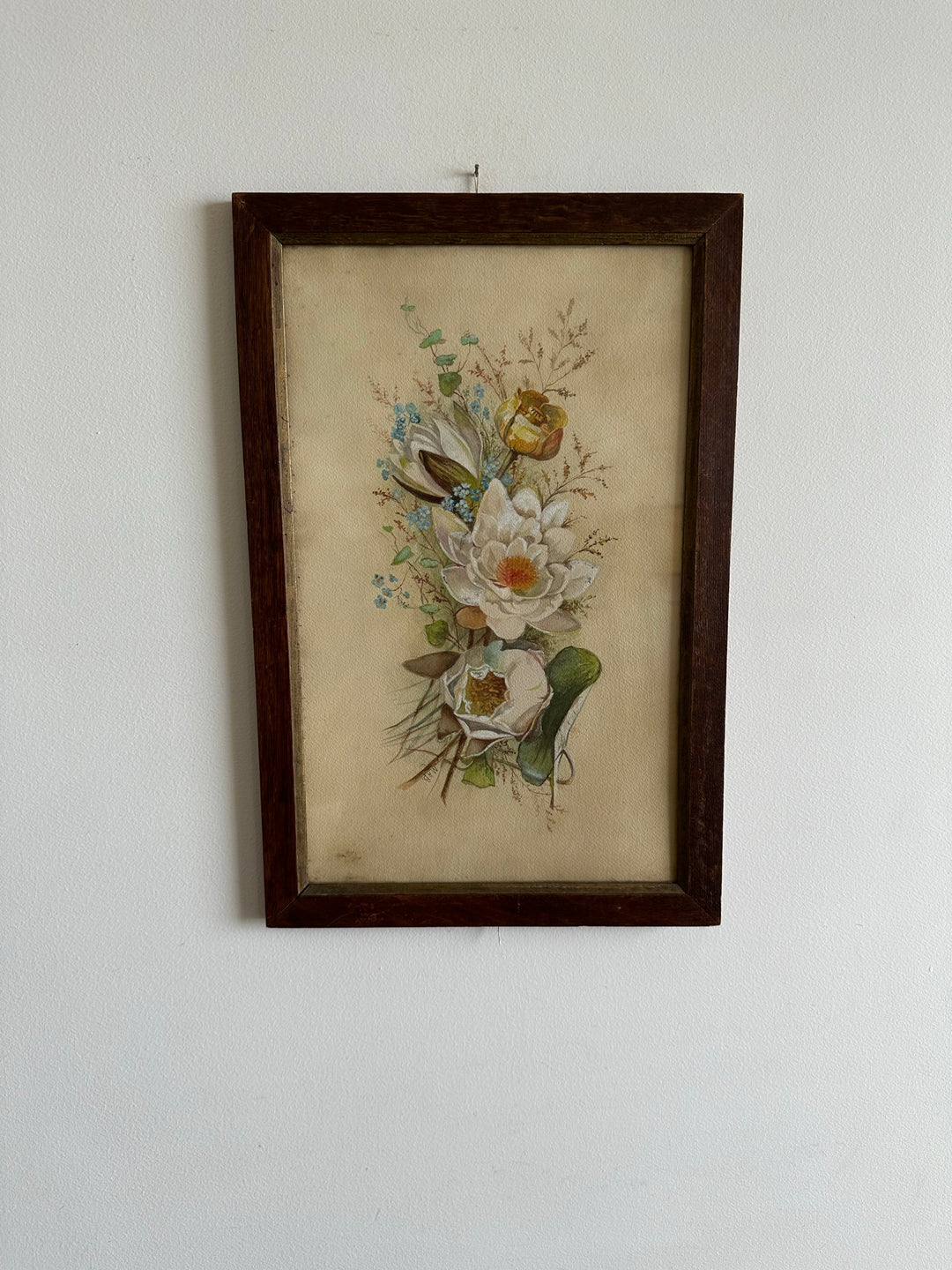 Aquarelle magnolia signée encadrée années 40-50