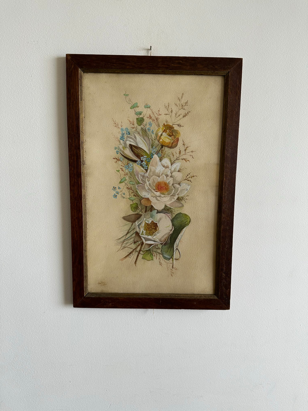 Aquarelle magnolia signée encadrée années 40-50