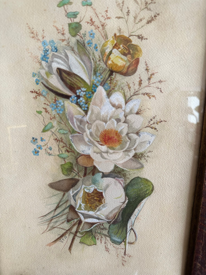 Aquarelle magnolia signée encadrée années 40-50