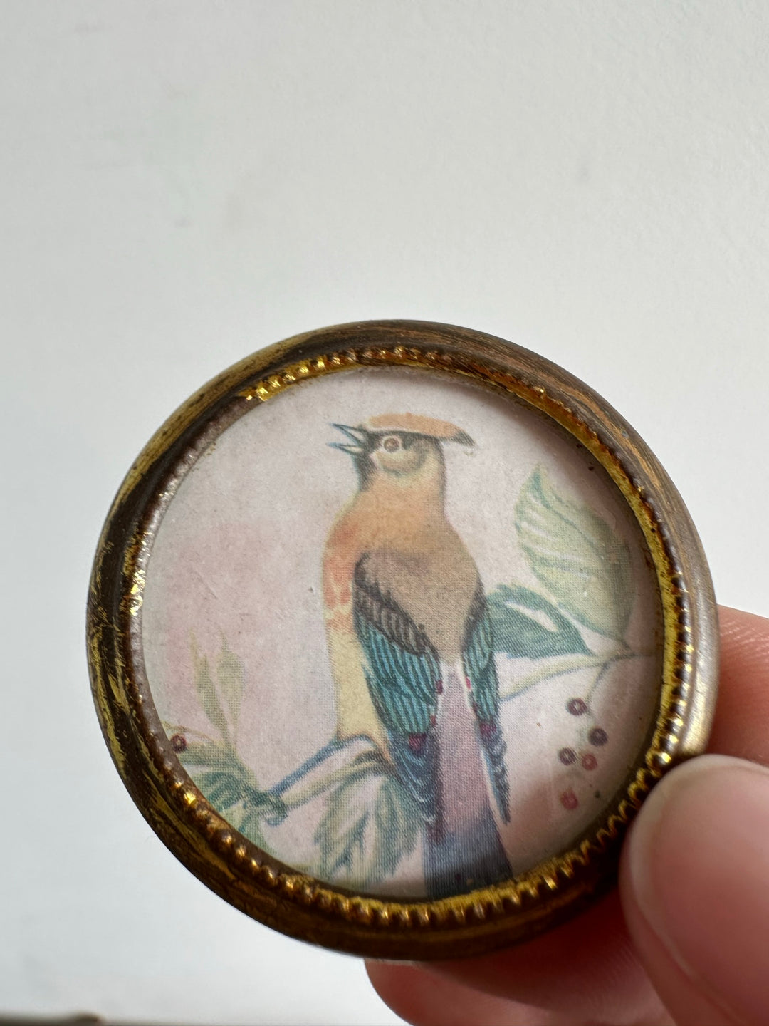 Médaillon oiseau en métal doré XIX ème