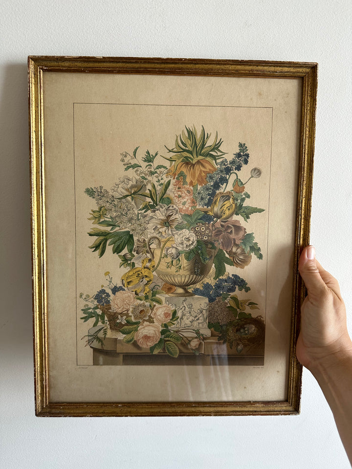Lithographies de Antoine Chazal, par Fernand Mourlot