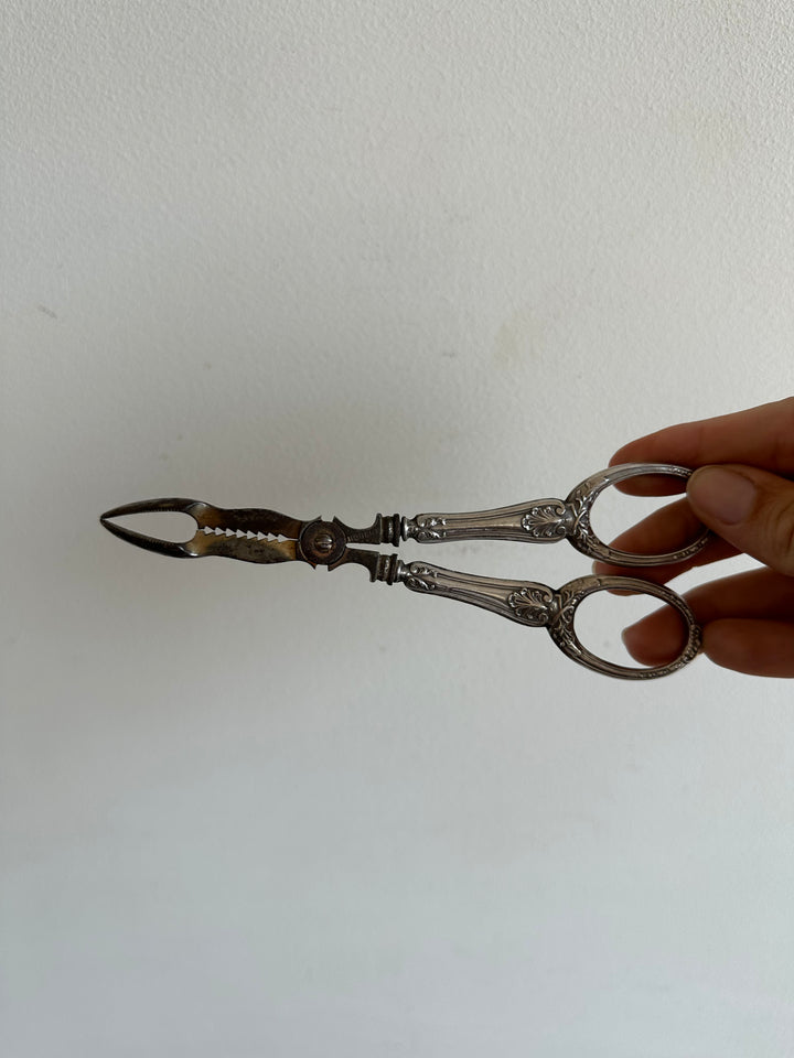 Ciseaux à sucre manche en argent