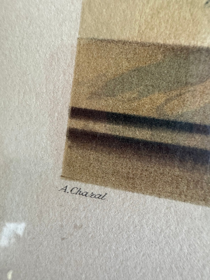 Lithographies de Antoine Chazal, par Fernand Mourlot