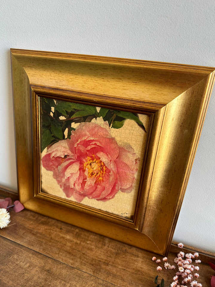 Toile marouflée sur bois représentant une rose dans son cadre épais doré