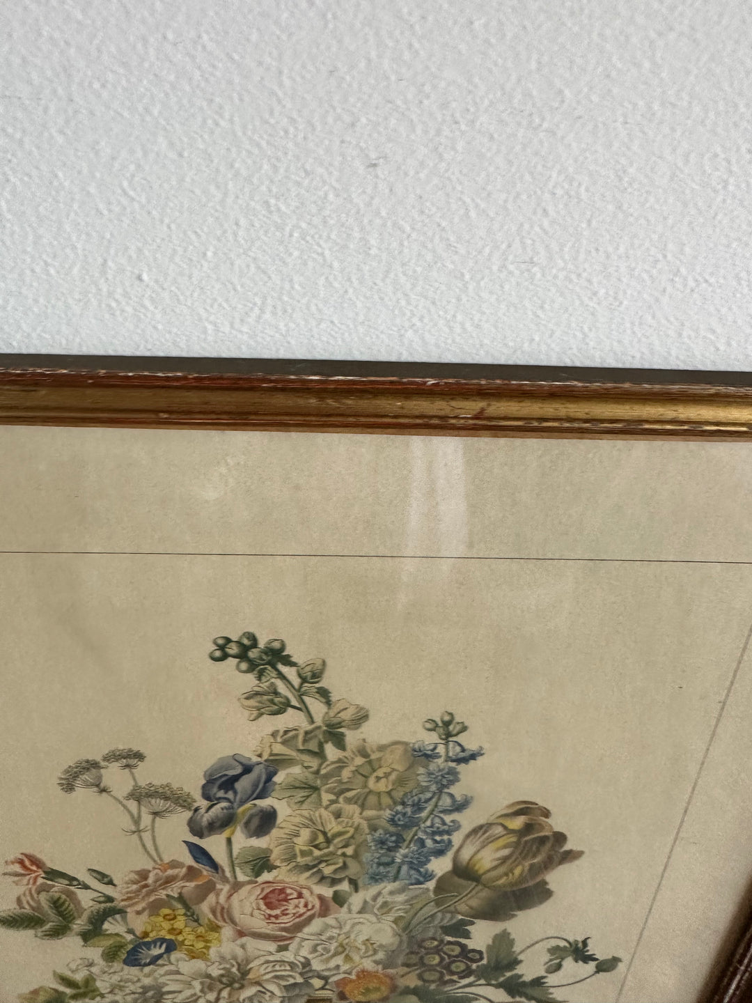 Lithographies de Antoine Chazal, par Fernand Mourlot