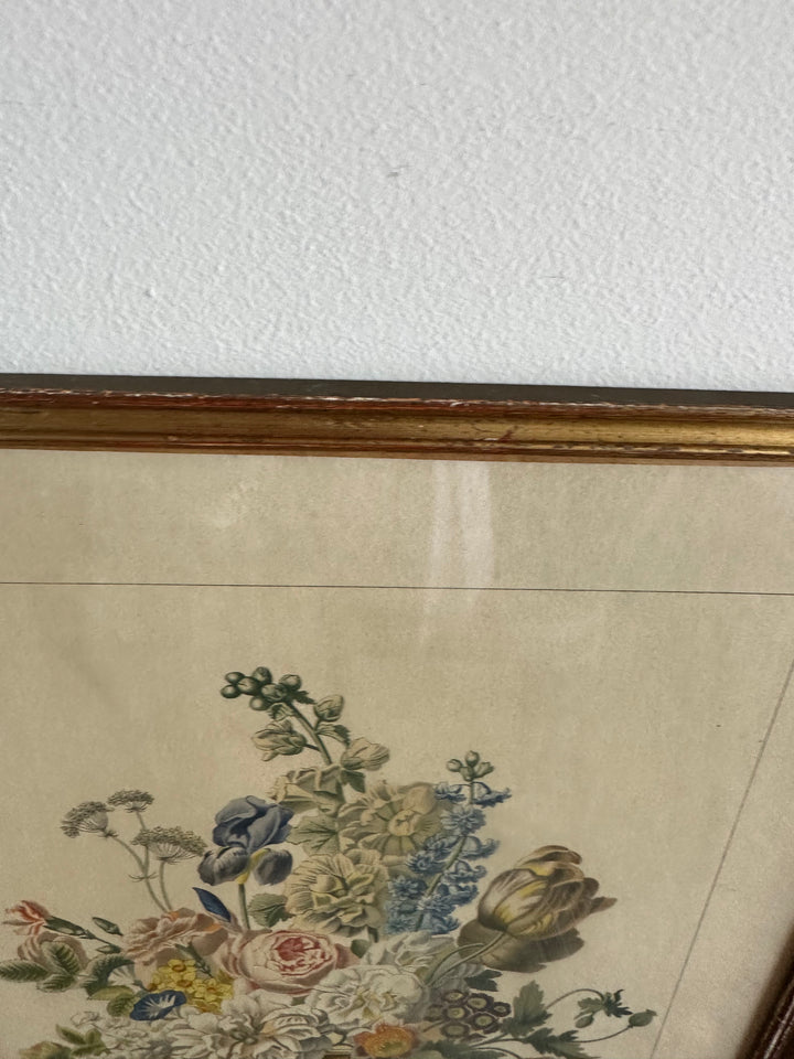 Lithographies de Antoine Chazal, par Fernand Mourlot