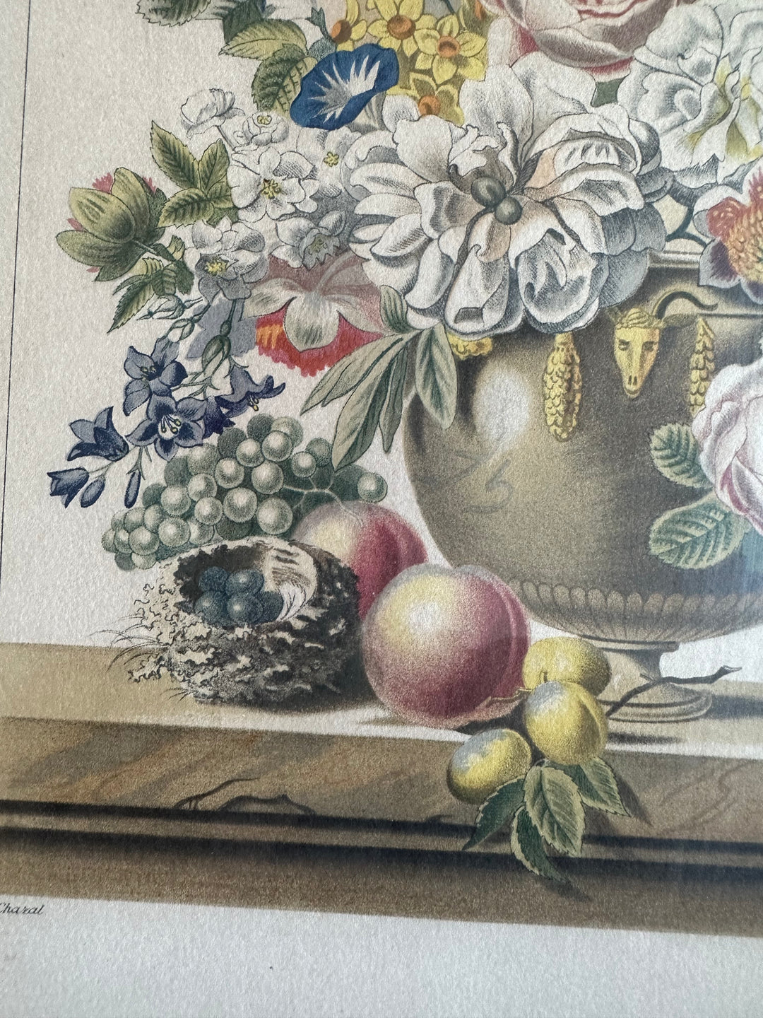 Lithographies de Antoine Chazal, par Fernand Mourlot
