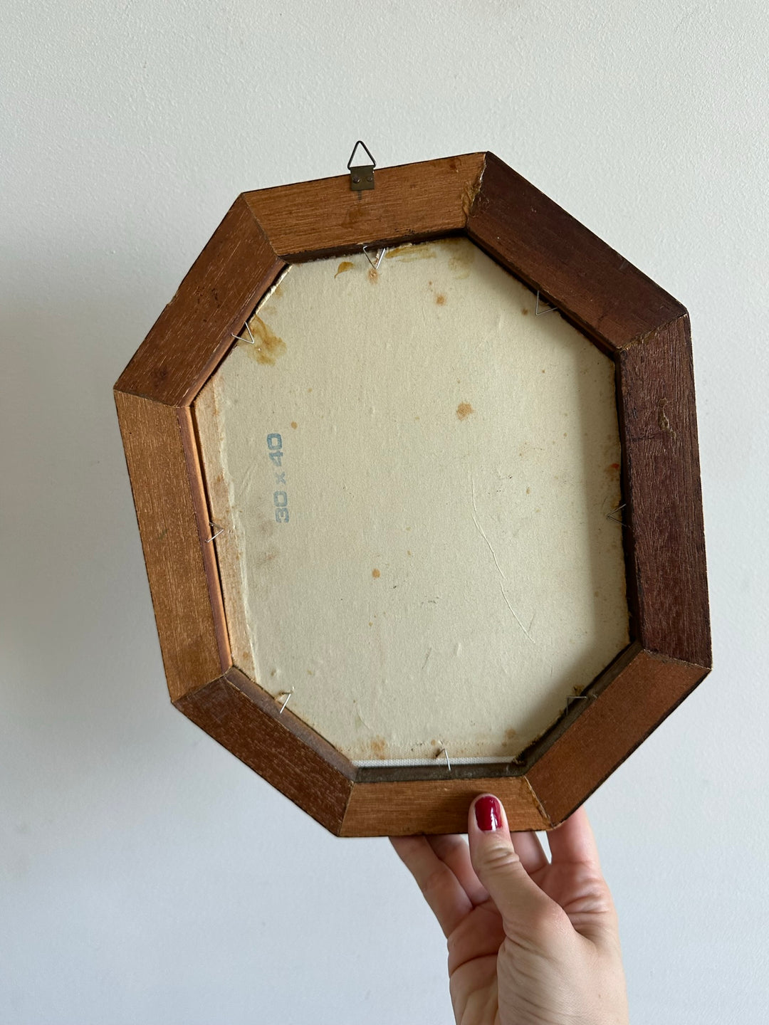 Peintures florales cadre en bois hexagonal