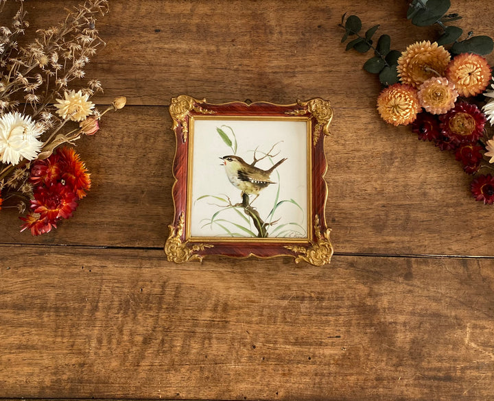 Oiseau peint sur porcelaine encadré signé