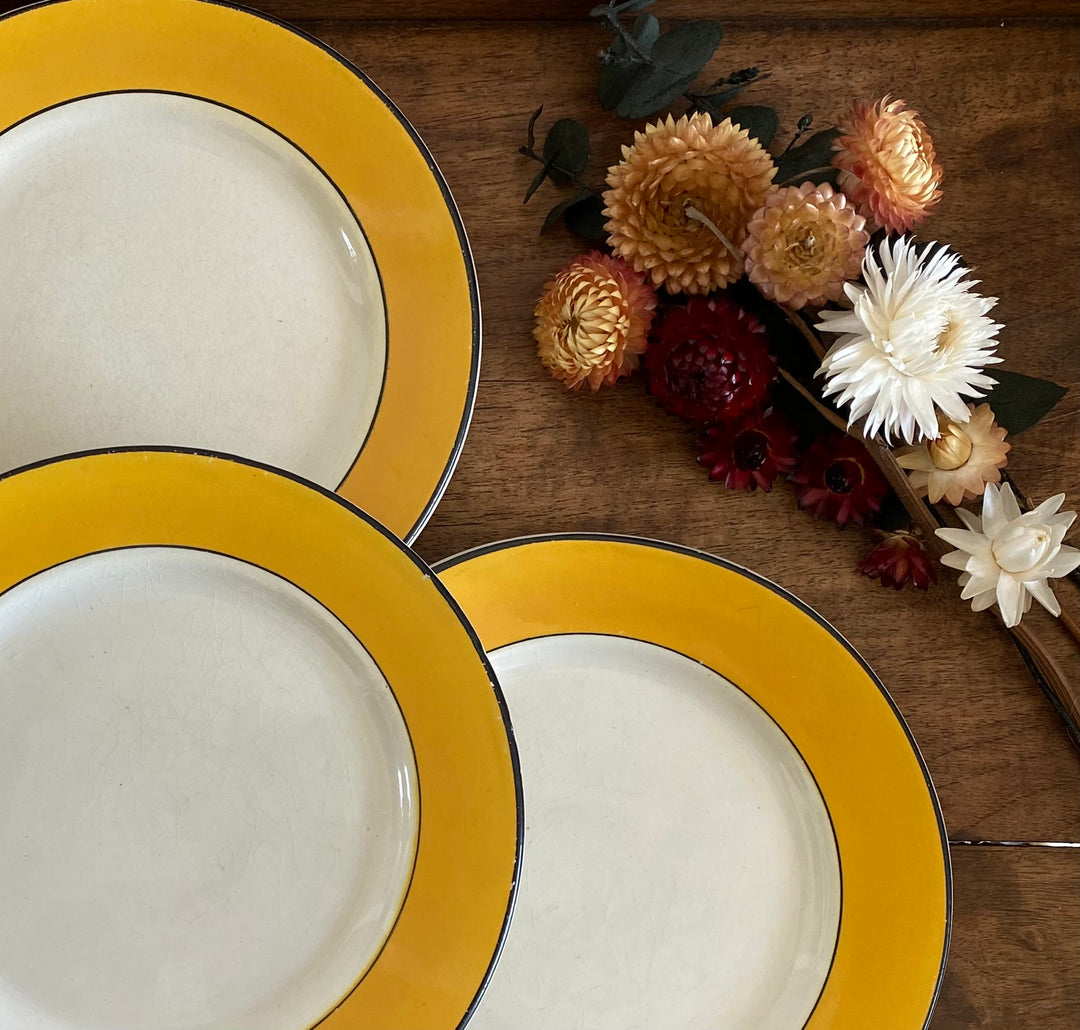Assiettes à dessert Porcelaine Opaque Luneville début XXème fin XIXème