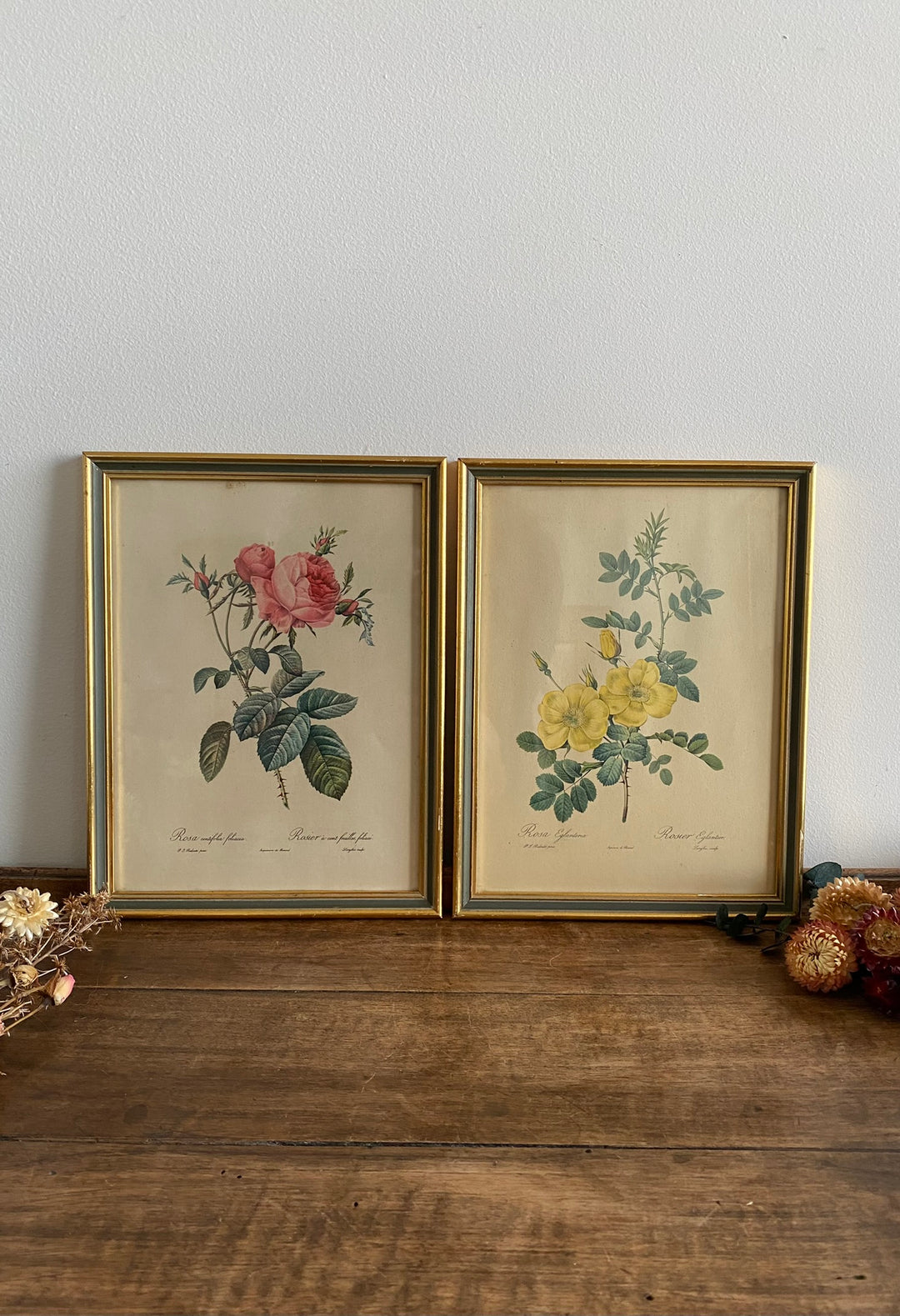 Lithographies Redouté encadrées