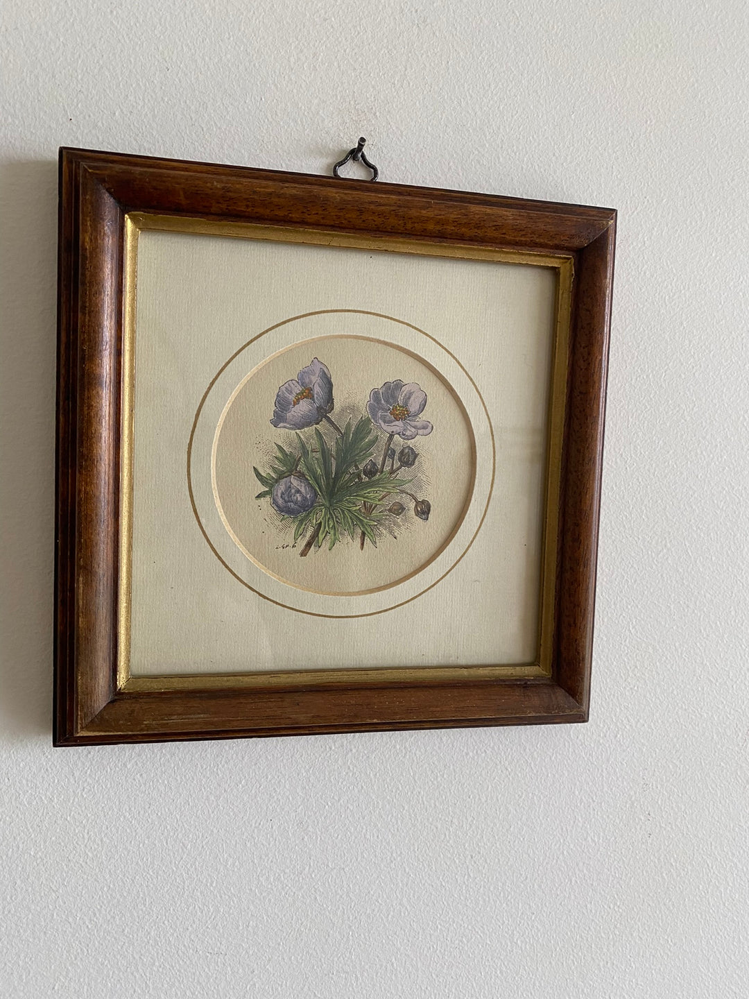 Gravure florale médaillon rond encadrement bois naturel