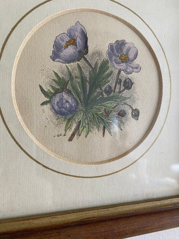Gravure florale médaillon rond encadrement bois naturel