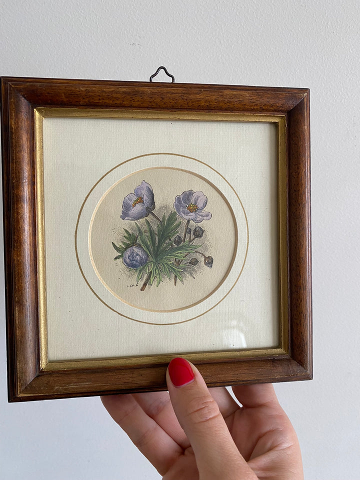 Gravure florale médaillon rond encadrement bois naturel