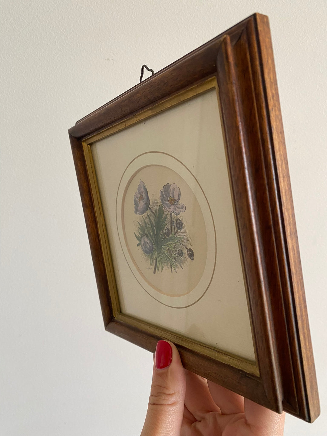 Gravure florale médaillon rond encadrement bois naturel
