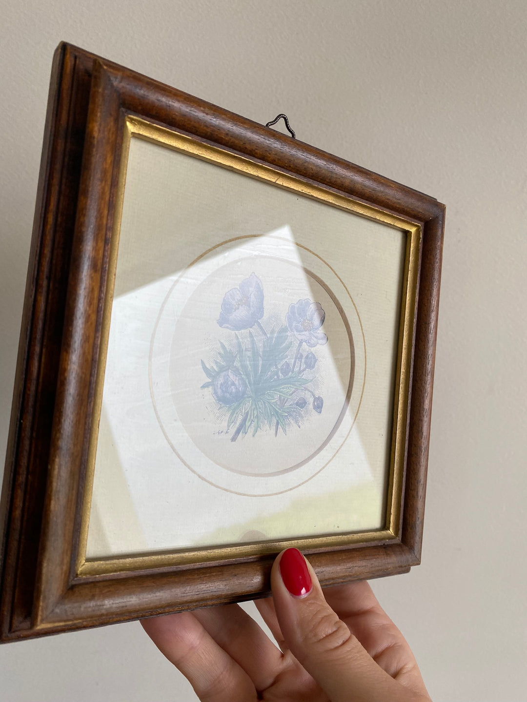 Gravure florale médaillon rond encadrement bois naturel