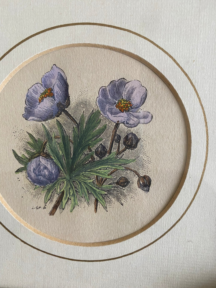 Gravure florale médaillon rond encadrement bois naturel