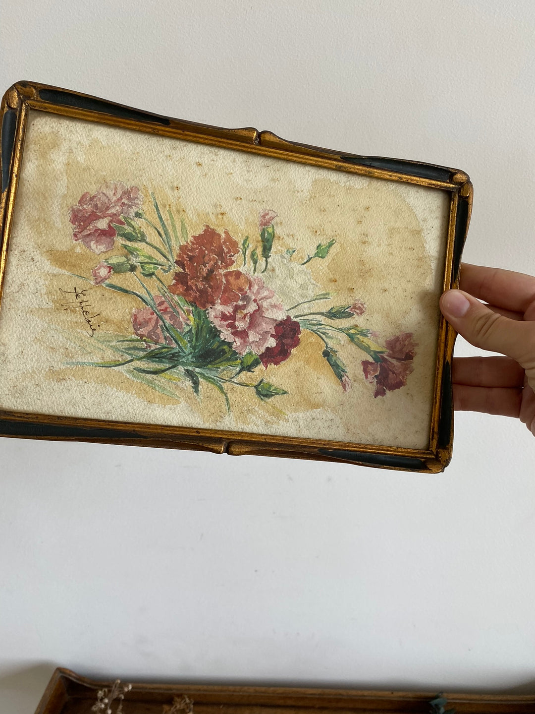 Peinture Oeillets à l'aquarelle signée estimation début XXème