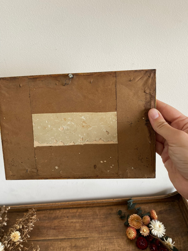 Peinture Oeillets à l'aquarelle signée estimation début XXème