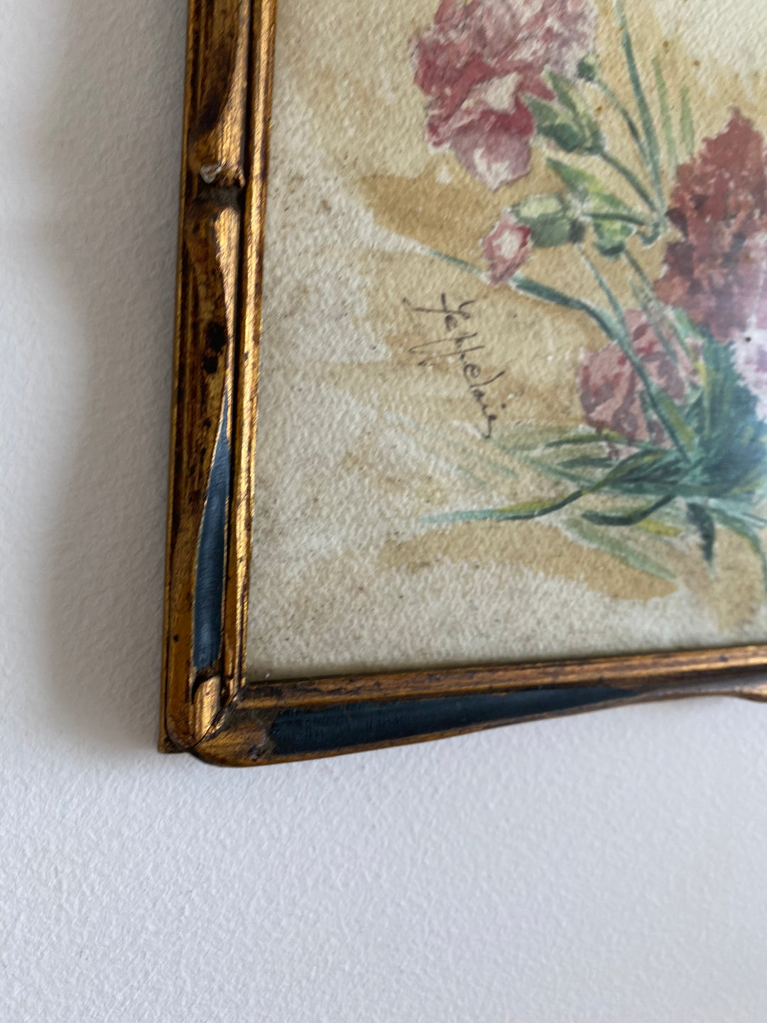 Peinture Oeillets à l'aquarelle signée estimation début XXème