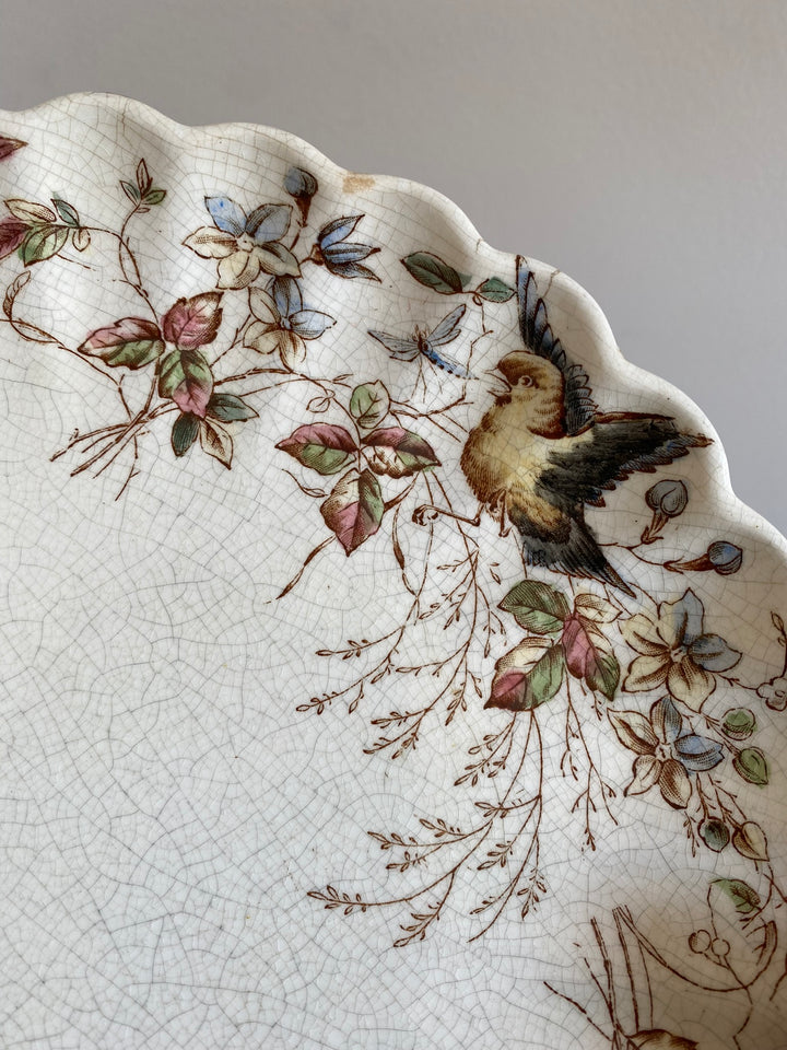Assiettes à dessert William Alsager Adderley & Co