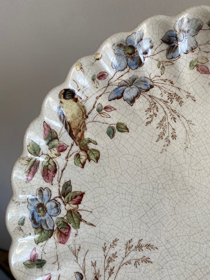 Assiettes à dessert William Alsager Adderley & Co