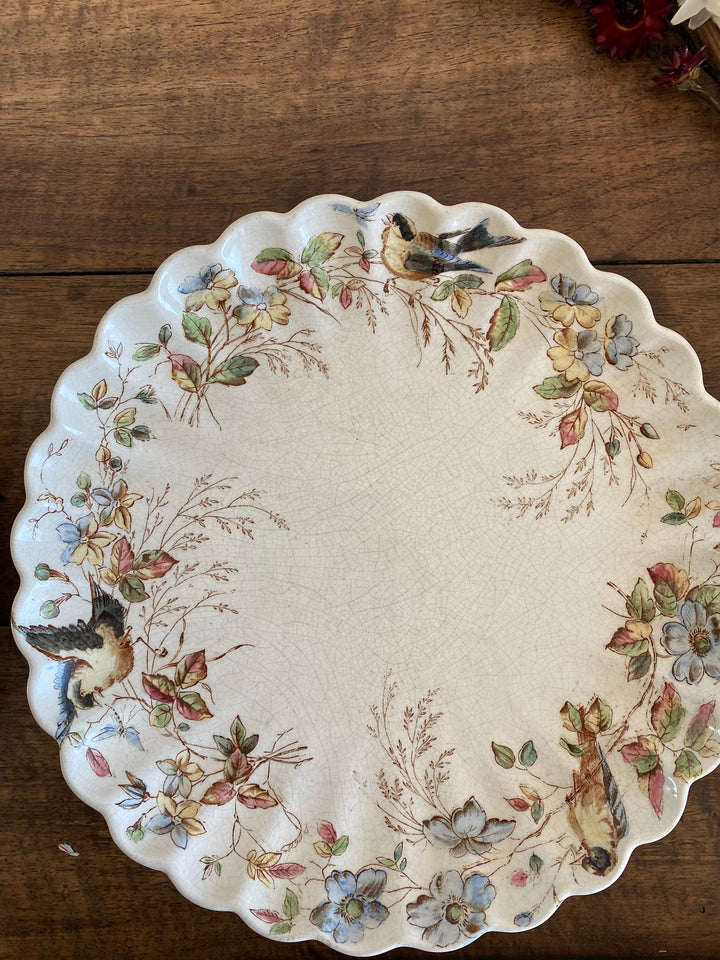 Assiettes à dessert William Alsager Adderley & Co