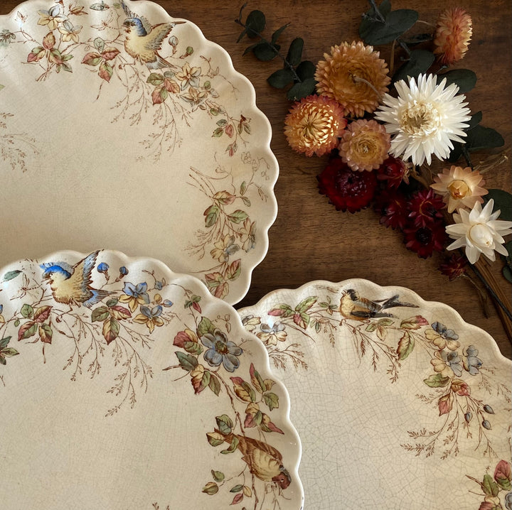 Assiettes à dessert William Alsager Adderley & Co