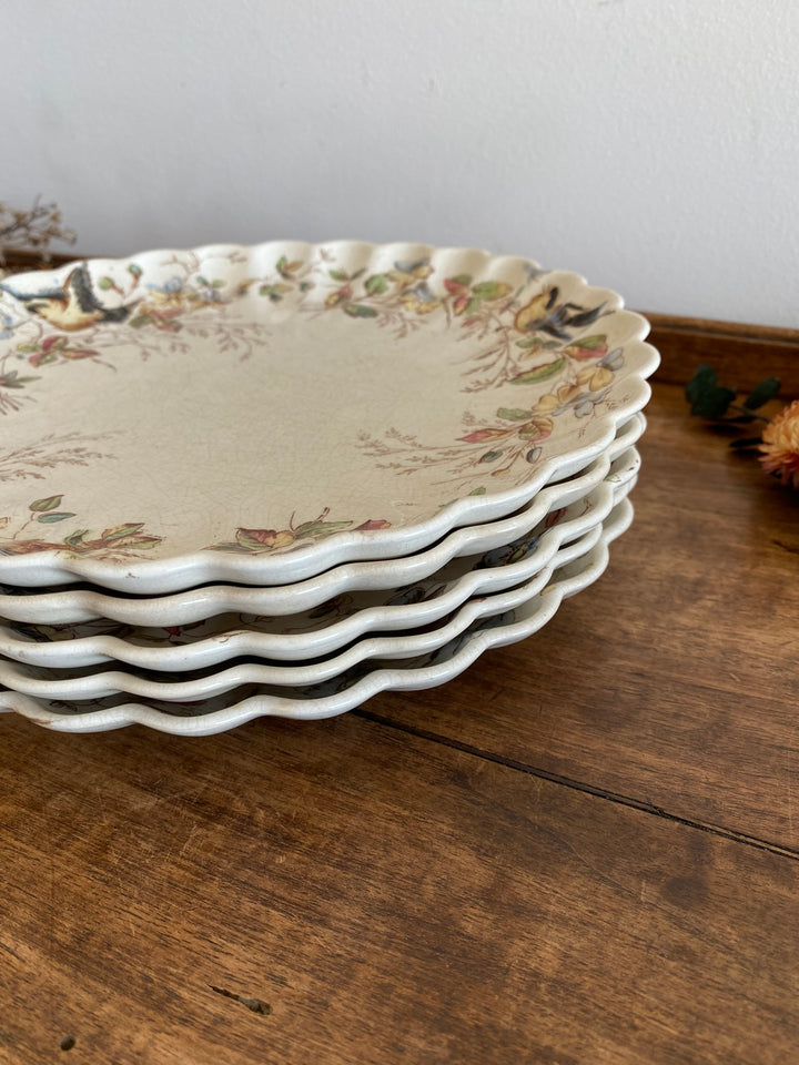 Assiettes à dessert William Alsager Adderley & Co