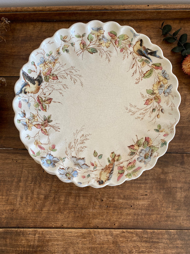 Assiettes à dessert William Alsager Adderley & Co