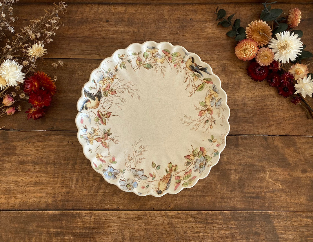 Assiettes à dessert William Alsager Adderley & Co