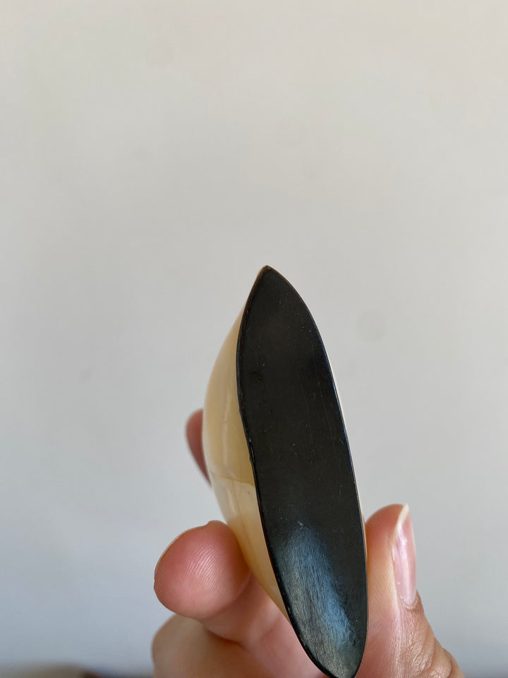 Salière et poivrière en nacre