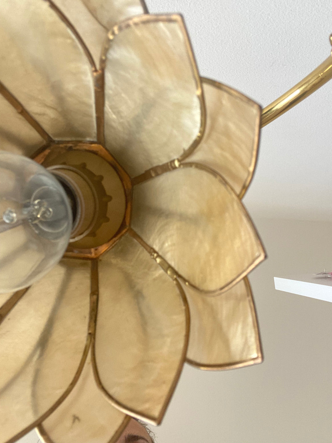Lampe en laiton fleur nacrée