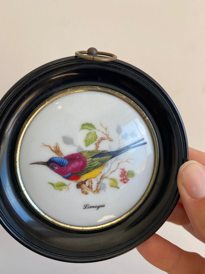 Médaillons oiseaux en porcelaine
