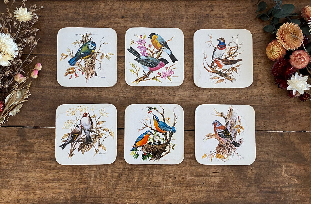 Sous verres en liège motifs oiseaux