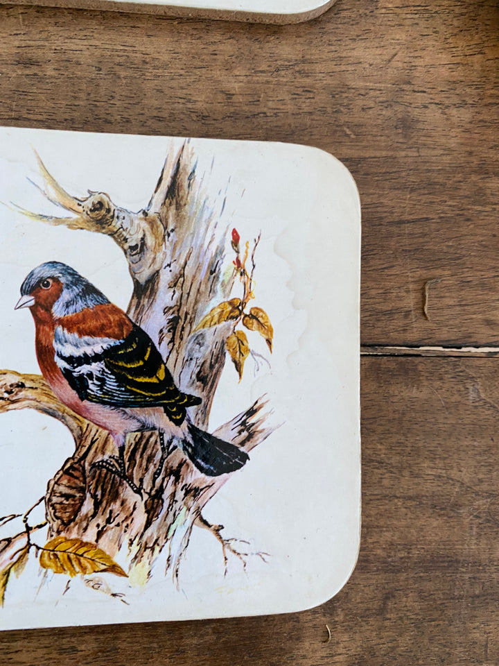 Sous verres en liège motifs oiseaux