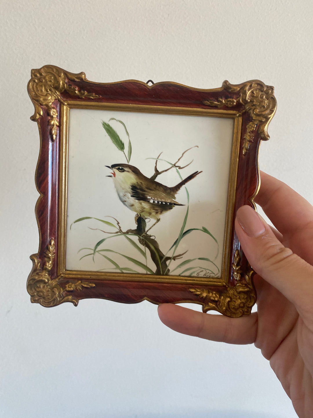 Oiseau peint sur porcelaine encadré signé