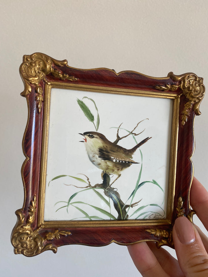 Oiseau peint sur porcelaine encadré signé