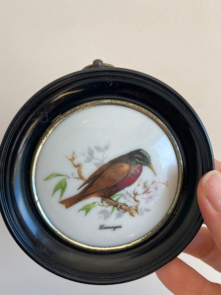 Médaillons oiseaux en porcelaine