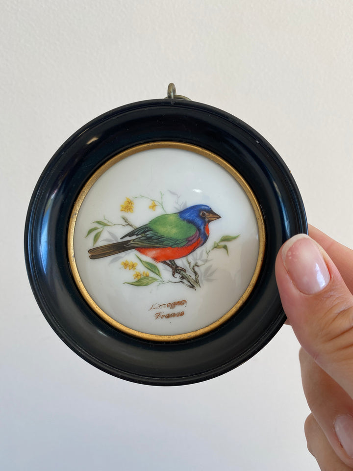 Médaillons oiseaux en porcelaine