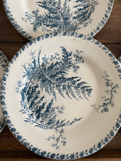 Assiettes blanches et bleues porcelaine opaque de Gien collection Fougères