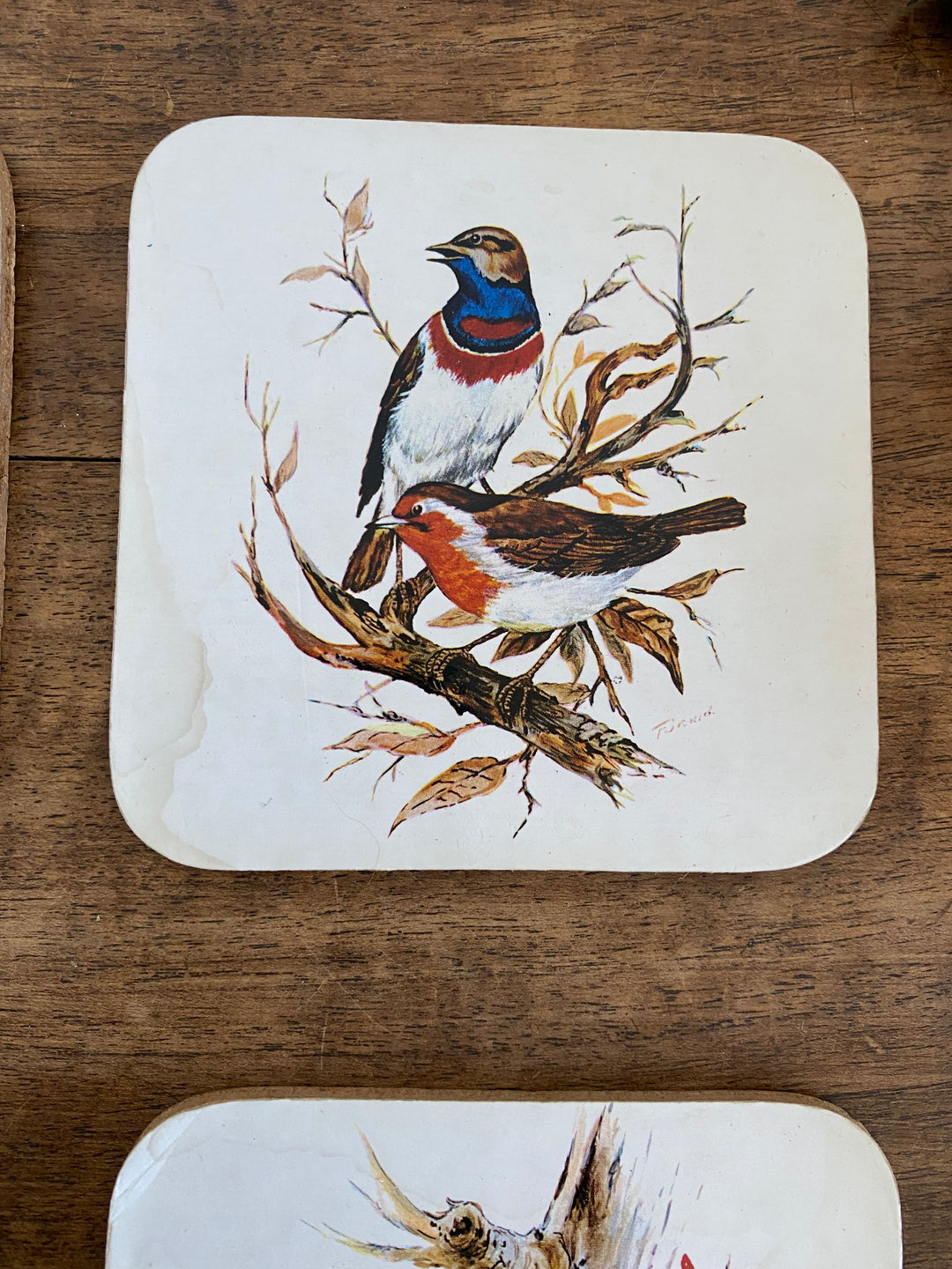 Sous verres en liège motifs oiseaux
