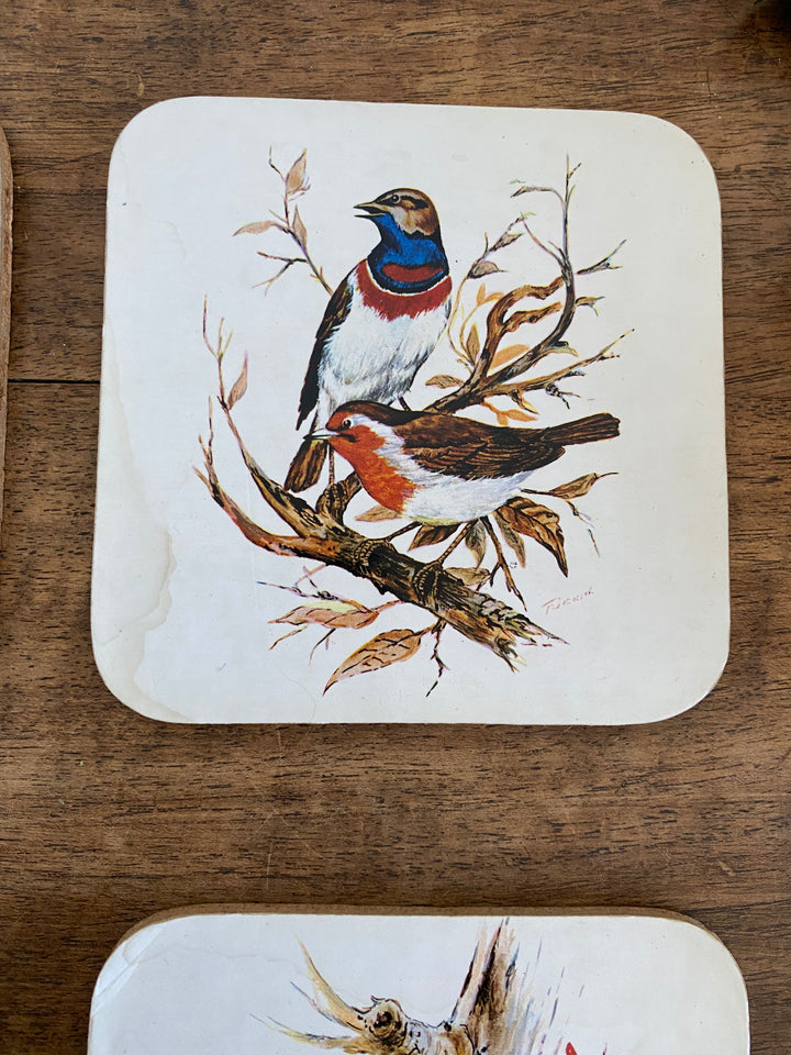 Sous verres en liège motifs oiseaux
