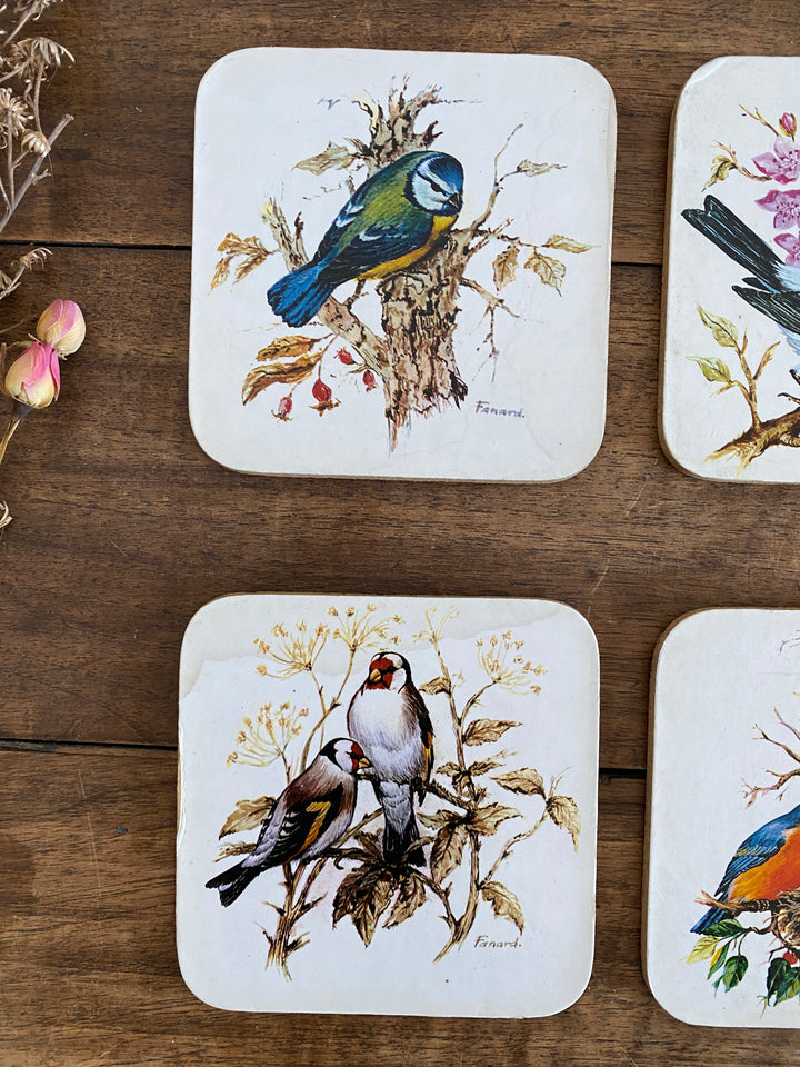 Sous verres en liège motifs oiseaux